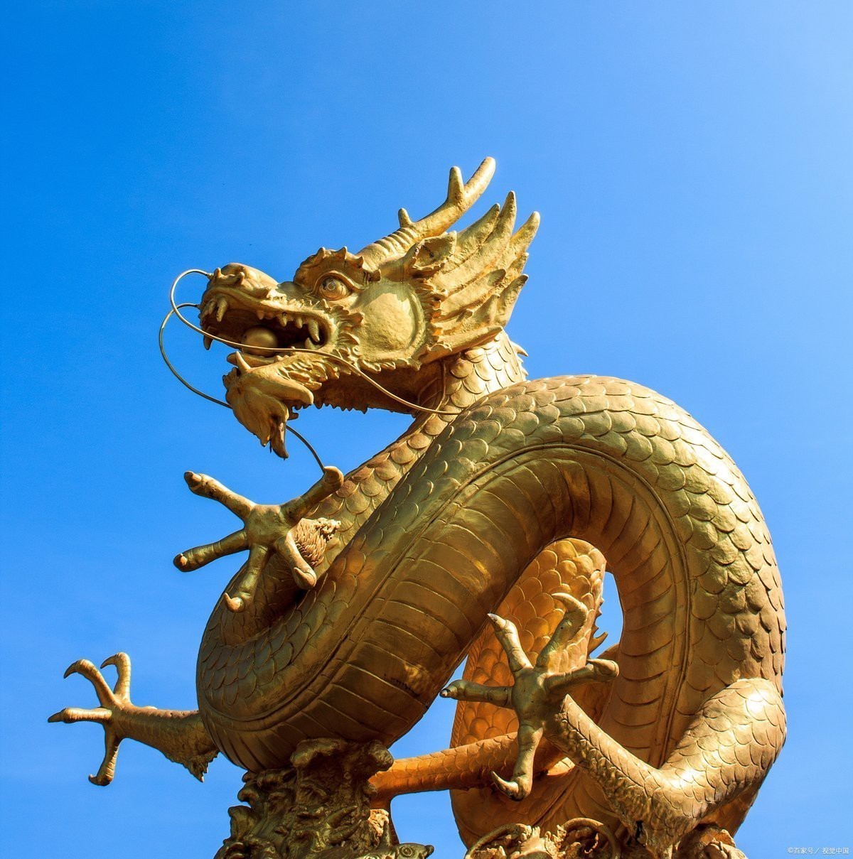 金龍壁畫有哪些寓意【金龍壁畫中的龍是什么樣子個人圖書館—祥瑞金龍壁紙分享】