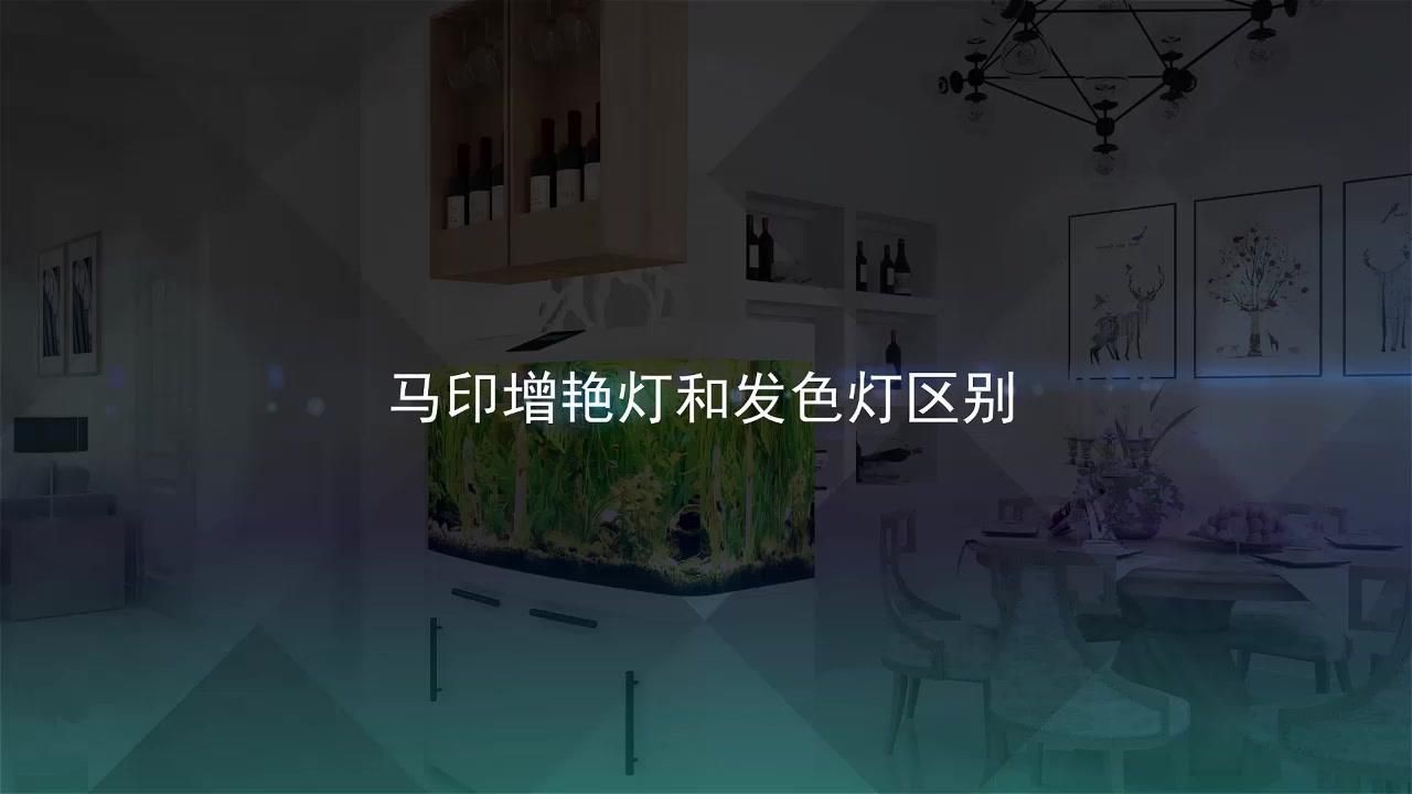 龍魚(yú)發(fā)色燈和增艷燈什么區(qū)別【龍魚(yú)發(fā)色燈與增艷燈的區(qū)別】