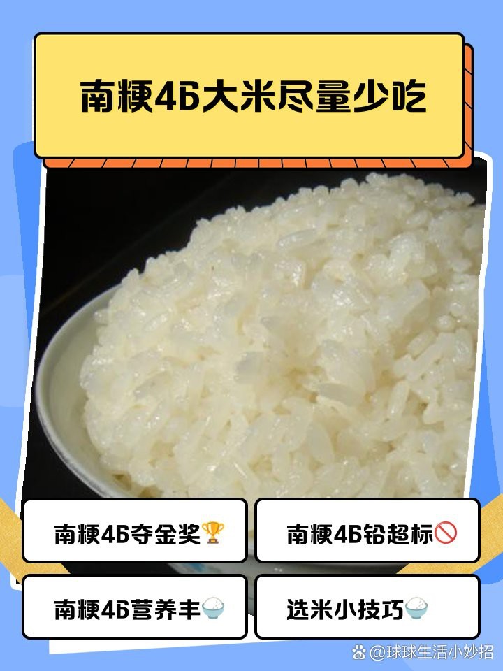 南粳米為何要盡量少吃【南粳米的健康風(fēng)險(xiǎn)】 南粳米為何要盡量少吃【南粳米的健康風(fēng)險(xiǎn)】 龍魚論壇 第1張