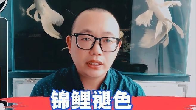 錦鯉大正退墨了最怕三個東西【錦鯉大正三色退墨的三大關鍵因素及應對策略】