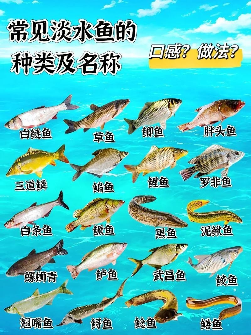 各種魚圖片大全【20種常見海魚大盤點，你最愛哪一種麥田守望年虞沐】