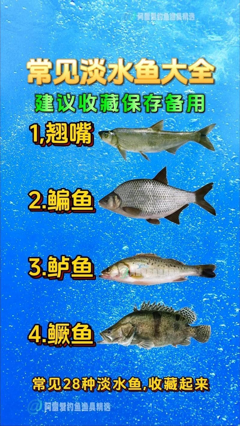 各種魚圖片大全【20種常見海魚大盤點，你最愛哪一種麥田守望年虞沐】