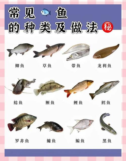 各種魚圖片大全【20種常見海魚大盤點，你最愛哪一種麥田守望年虞沐】