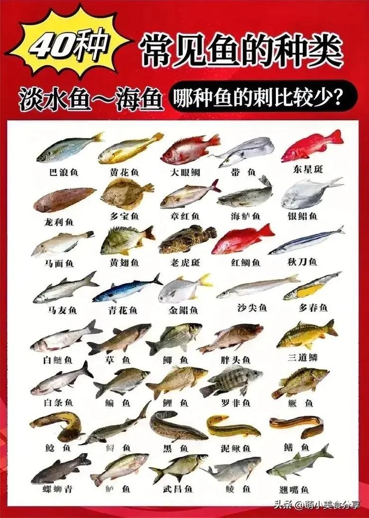 各種魚圖片大全【20種常見海魚大盤點，你最愛哪一種麥田守望年虞沐】