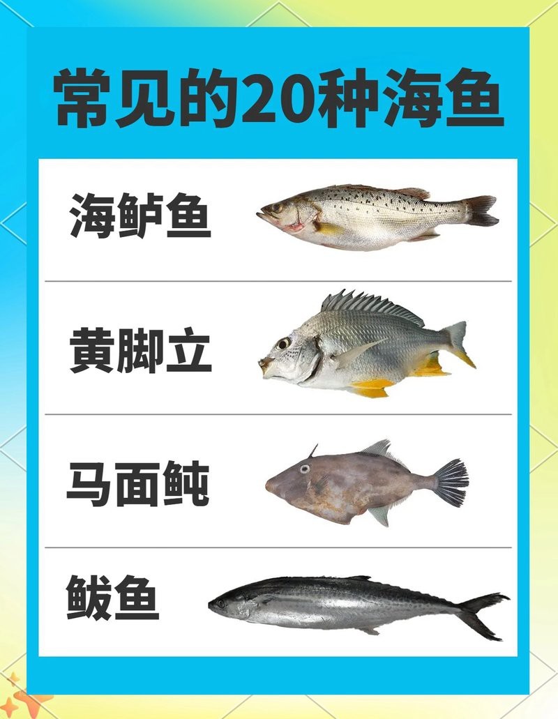 各種魚圖片大全【20種常見海魚大盤點，你最愛哪一種麥田守望年虞沐】
