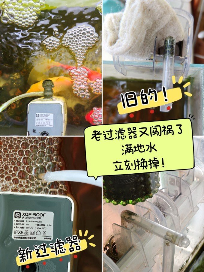 森森魚缸底濾拆裝視頻【森森森魚缸底濾系統拆裝全攻略：森森底濾系統拆裝技巧】 森森魚缸底濾拆裝視頻【森森森魚缸底濾系統拆裝全攻略：森森底濾系統拆裝技巧】 龍魚論壇 第2張