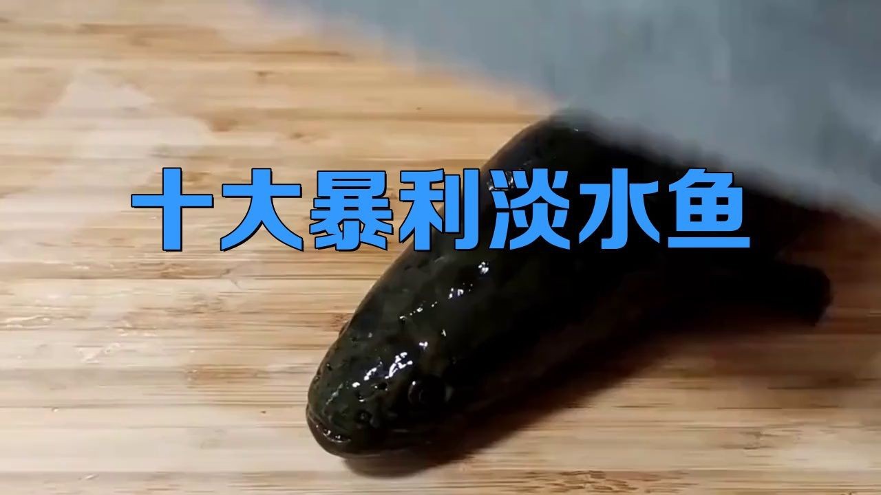 能詳細介紹幾個高利潤淡水魚品種嗎？【養淡水魚哪種魚最掙錢】