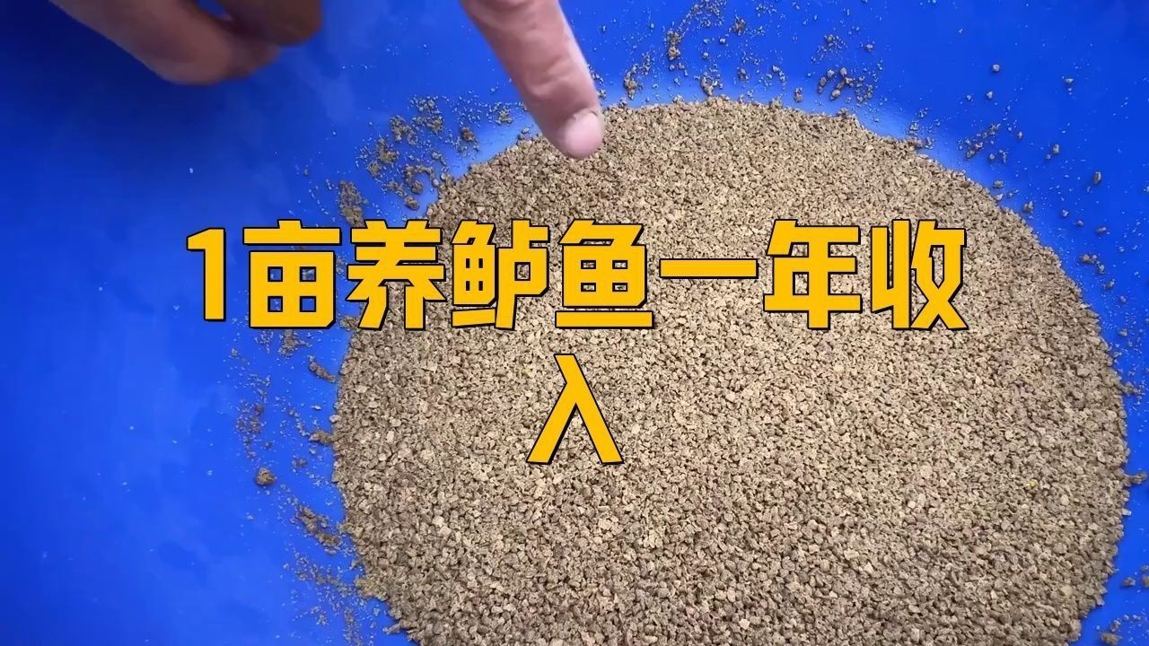 能詳細介紹幾個高利潤淡水魚品種嗎？【養淡水魚哪種魚最掙錢】
