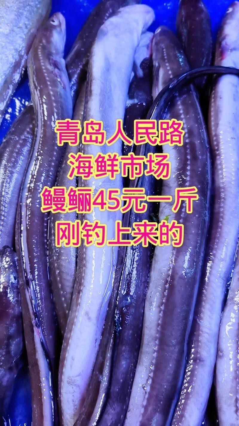 青島鰻鱗魚多少錢一斤【2025年8月青島鰻鱗魚市場價格波動幅度可達13元】