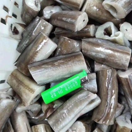 青島鰻鱗魚多少錢一斤【2025年8月青島鰻鱗魚市場價格波動幅度可達13元】