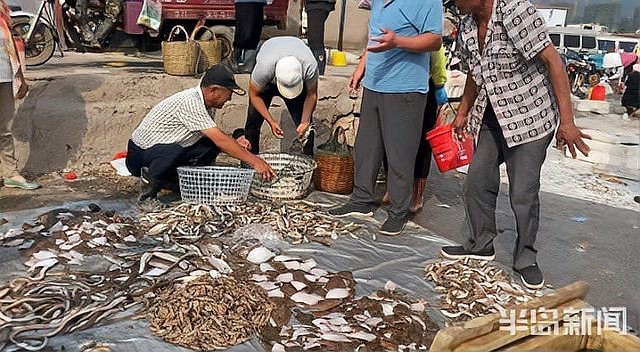 中山觀賞魚飼料廠家電話地址，觀賞魚飼料廠家批發價格 中山觀賞魚飼料廠家電話地址，觀賞魚飼料廠家批發價格 觀賞魚百科 第1張