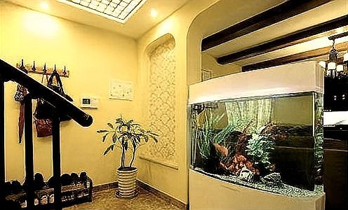 5條魚最旺什么人【5條魚的寓意是什么意思】 5條魚最旺什么人【5條魚的寓意是什么意思】 龍魚論壇 第5張