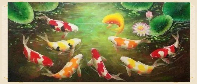 5條魚最旺什么人【5條魚的寓意是什么意思】 5條魚最旺什么人【5條魚的寓意是什么意思】 龍魚論壇 第9張