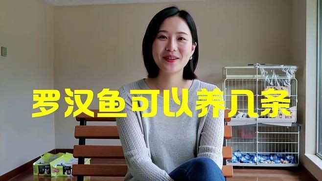 羅漢魚一般養(yǎng)幾條為好