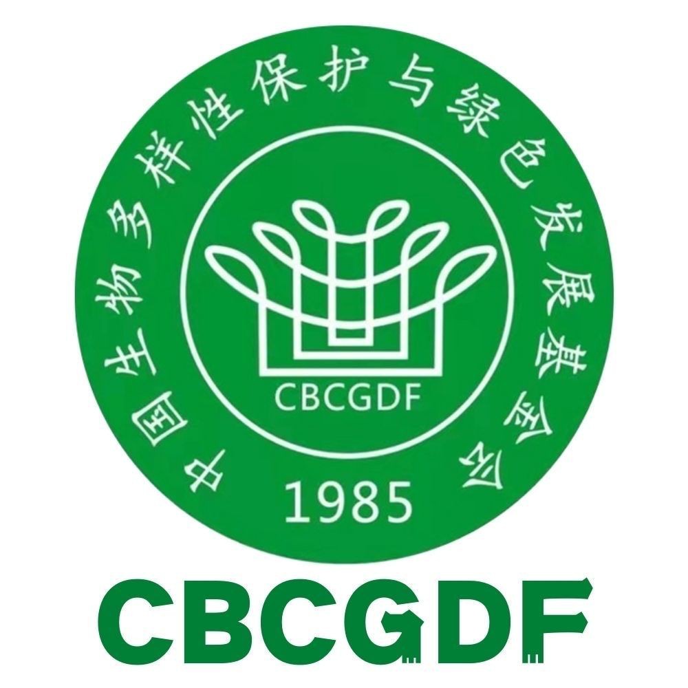 鮭鯊和鼠鯊【《鮭鯊和鼠鯊：海洋中的神秘掠食者》】