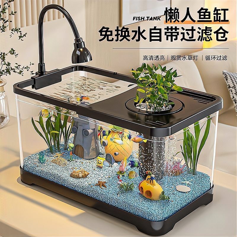 水族魚缸哪個品牌最好【《水族魚缸品牌之選：探尋最優品牌》】 水族魚缸哪個品牌最好【《水族魚缸品牌之選：探尋最優品牌》】 龍魚論壇 第2張
