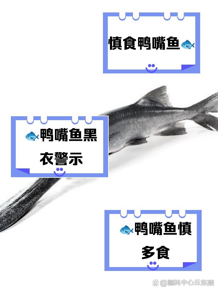 淡水魚和鴨嘴魚有毒嗎【淡水魚和鴨嘴魚有毒嗎？】 淡水魚和鴨嘴魚有毒嗎【淡水魚和鴨嘴魚有毒嗎？】 龍魚論壇 第5張