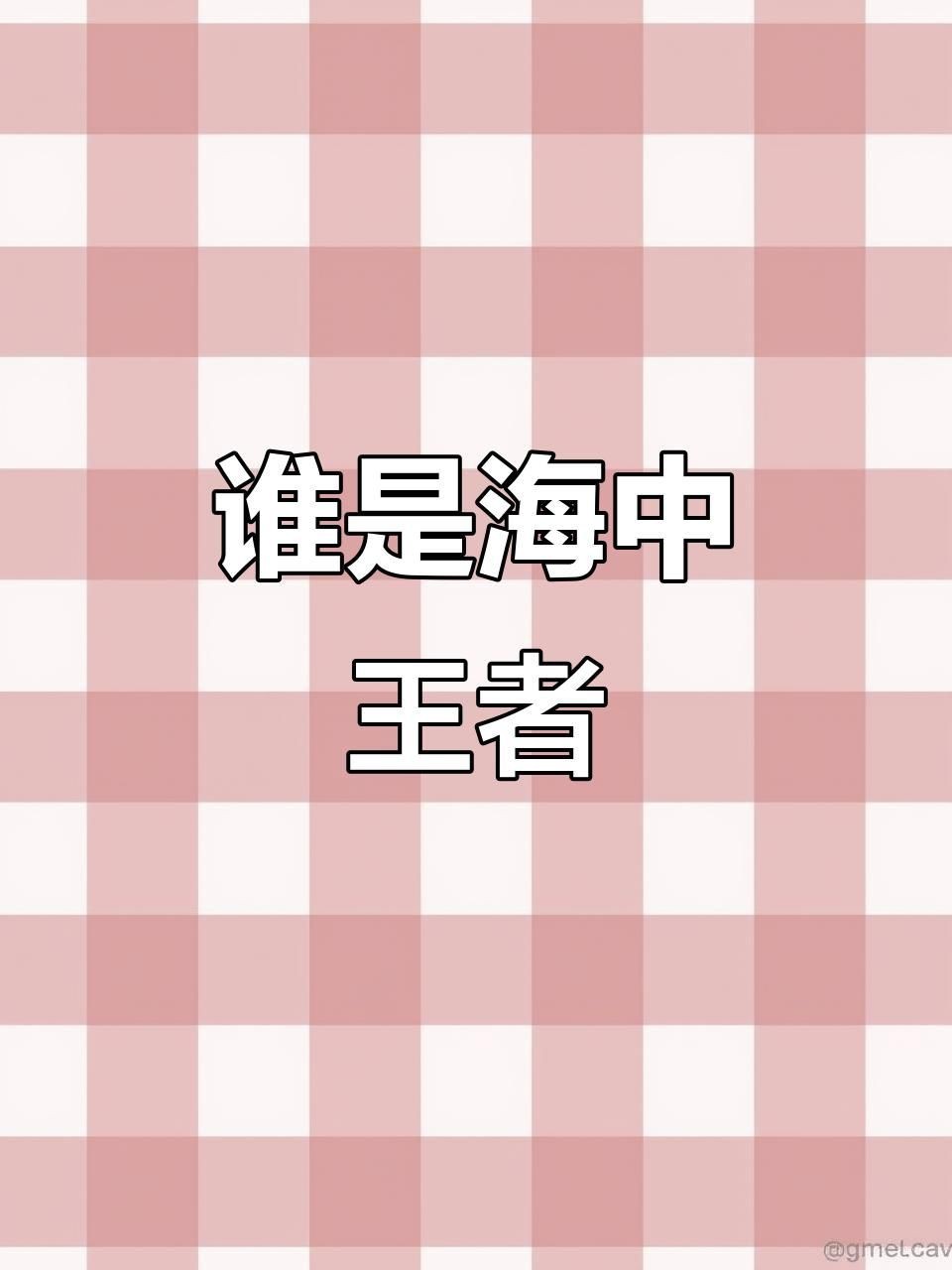虎鯊和大白鯊的區別【全民小視頻，00:56虎鯊外表可愛，實則兇猛，攻擊人類次數驚人】 虎鯊和大白鯊的區別【全民小視頻，00:56虎鯊外表可愛，實則兇猛，攻擊人類次數驚人】 龍魚論壇 第3張