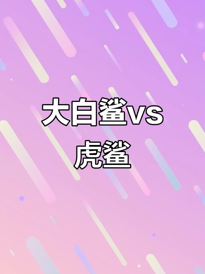 虎鯊和大白鯊的區別【全民小視頻，00:56虎鯊外表可愛，實則兇猛，攻擊人類次數驚人】 虎鯊和大白鯊的區別【全民小視頻，00:56虎鯊外表可愛，實則兇猛，攻擊人類次數驚人】 龍魚論壇 第2張