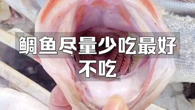 馬鯛魚為何要少吃【馬鮫魚為何盡量少吃】 馬鯛魚為何要少吃【馬鮫魚為何盡量少吃】 龍魚百科 第3張