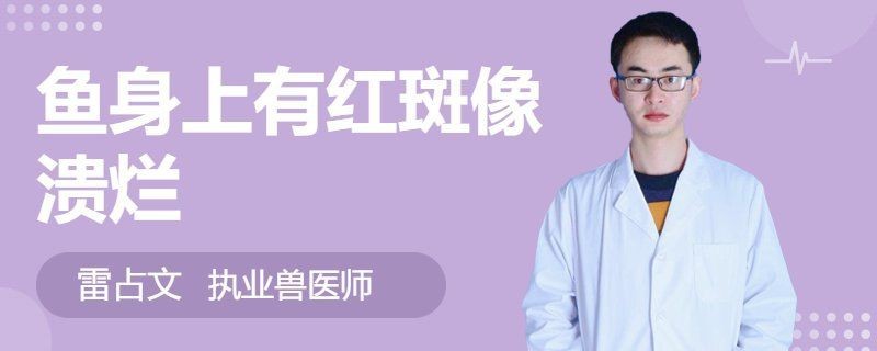 魚塘的魚身上有紅斑像潰爛【魚塘里的魚身上出現(xiàn)紅斑且類似潰爛的情況令人擔(dān)憂】