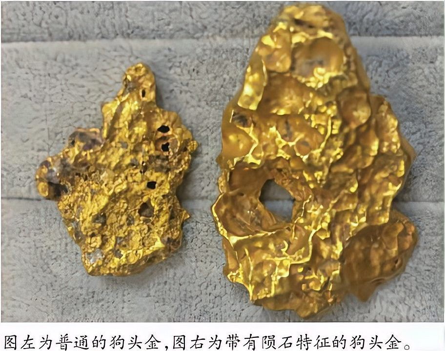 狗頭金是什么金【關于狗頭金的知識】