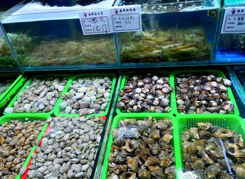 虎紋銀板魚多少元一斤【虎紋銀板魚的價(jià)格有波動(dòng)嗎】 龍魚論壇 第3張 虎紋銀板魚多少元一斤【虎紋銀板魚的價(jià)格有波動(dòng)嗎】 虎紋銀板魚多少元一斤【虎紋銀板魚的價(jià)格有波動(dòng)嗎】 龍魚論壇 第3張