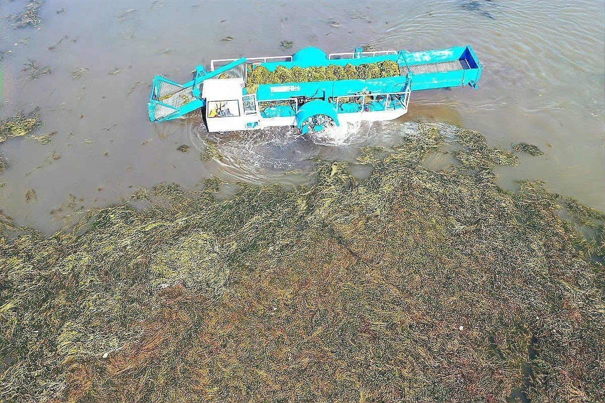 龍魚鱗片發黑能自愈嗎【龍魚鱗片發黑是什么原因龍魚鱗片發黑能自愈嗎】