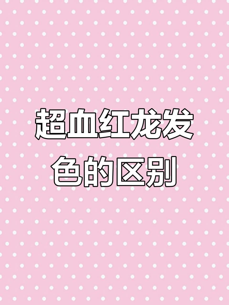 紅龍超血的產(chǎn)地在哪里？【印尼紅龍哪個(gè)品種最好】 紅龍超血的產(chǎn)地在哪里？【印尼紅龍哪個(gè)品種最好】 龍魚百科 第3張