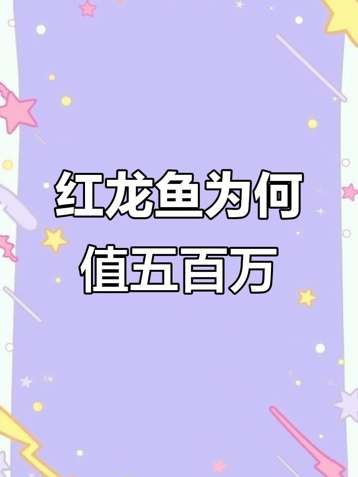紅龍魚的市場炒作情況【《紅龍魚的市場炒作情況》】