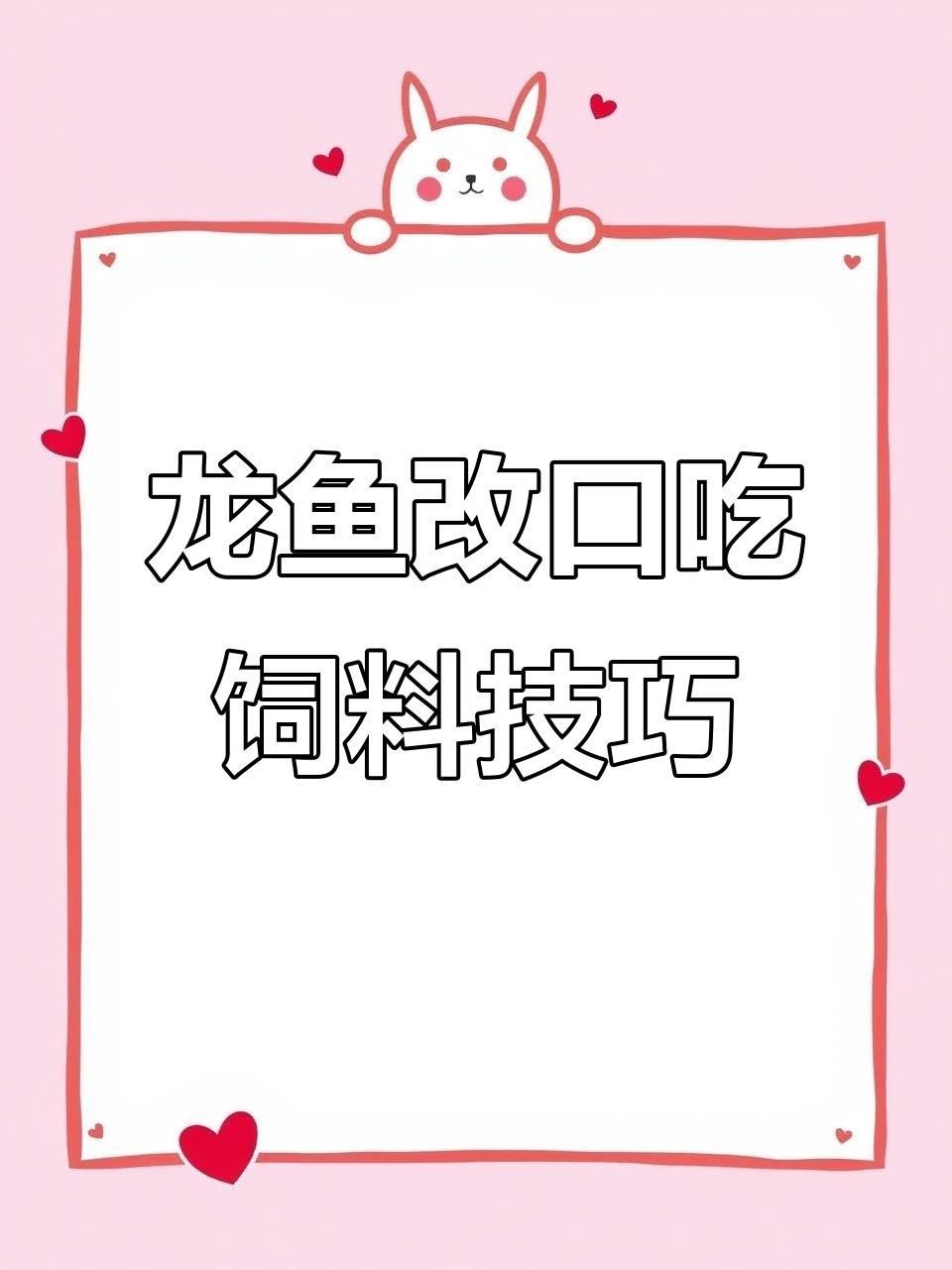 龍魚改口期間需要多久喂一次？【如何讓龍魚改口吃人工飼料這些技巧幫你搞定全民小視頻】 龍魚改口期間需要多久喂一次？【如何讓龍魚改口吃人工飼料這些技巧幫你搞定全民小視頻】 龍魚百科 第3張