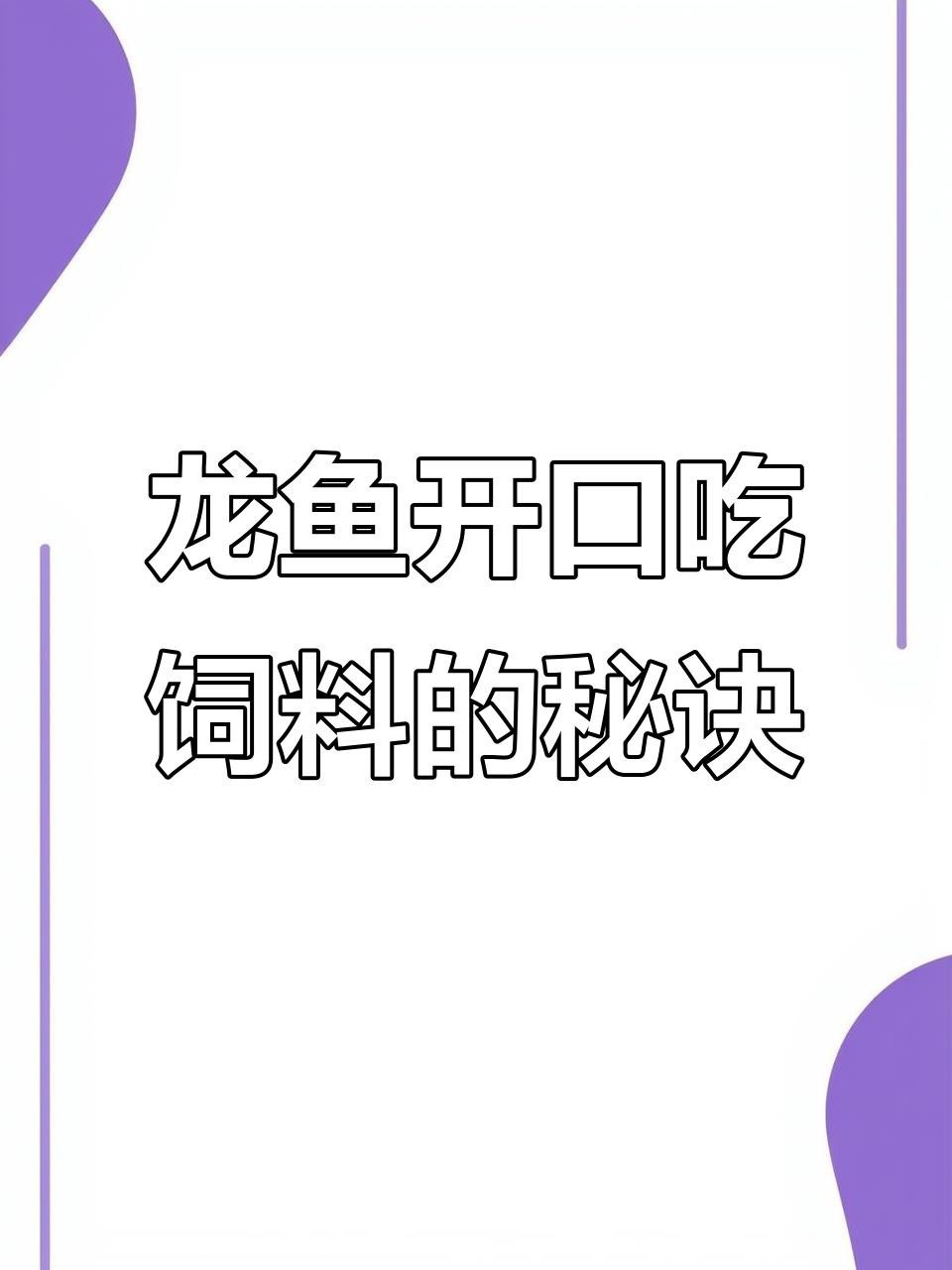 龍魚改口期間需要多久喂一次？【如何讓龍魚改口吃人工飼料這些技巧幫你搞定全民小視頻】 龍魚改口期間需要多久喂一次？【如何讓龍魚改口吃人工飼料這些技巧幫你搞定全民小視頻】 龍魚百科 第2張