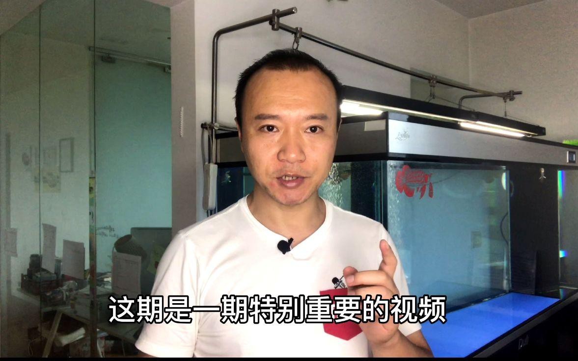 龍魚改口期間需要多久喂一次？【如何讓龍魚改口吃人工飼料這些技巧幫你搞定全民小視頻】 龍魚改口期間需要多久喂一次？【如何讓龍魚改口吃人工飼料這些技巧幫你搞定全民小視頻】 龍魚百科 第7張