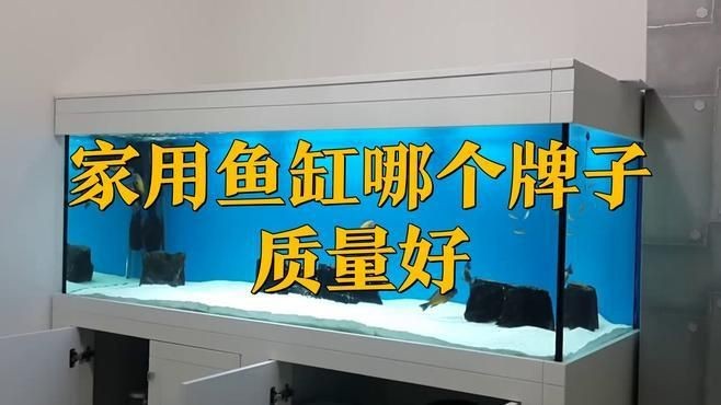 可麗愛和森森哪個好用【可麗愛和森森哪個好】
