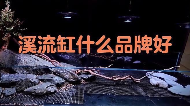 可麗愛和森森哪個好用【可麗愛和森森哪個好】