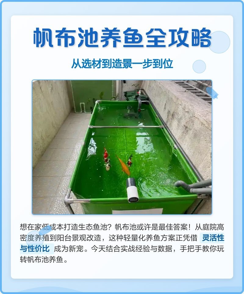 帆布魚池一立方可養(yǎng)多少魚【帆布魚池一立方可養(yǎng)多少魚用帆布水池養(yǎng)什么魚種最好】 帆布魚池一立方可養(yǎng)多少魚【帆布魚池一立方可養(yǎng)多少魚用帆布水池養(yǎng)什么魚種最好】 龍魚論壇 第4張