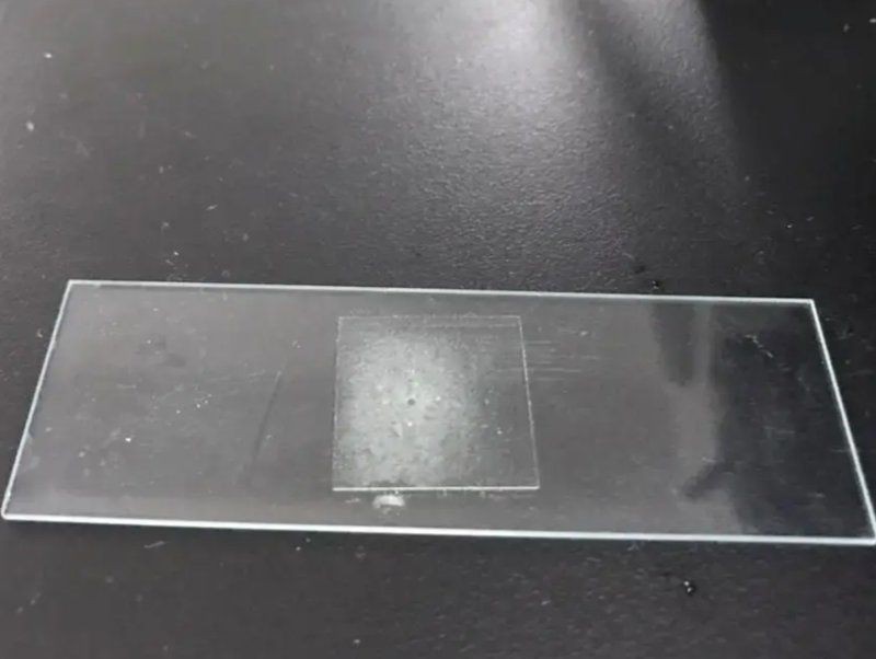 魟魚水質怎么判斷【如何判斷魟魚水質好壞】 魟魚水質怎么判斷【如何判斷魟魚水質好壞】 龍魚論壇 第6張