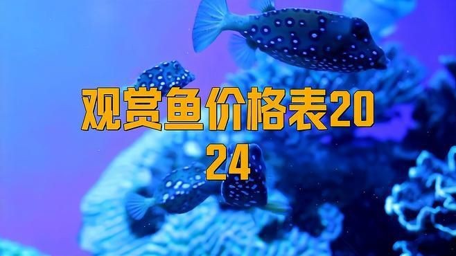 觀賞魚多少錢一條【《觀賞魚價格差異大，受多種因素影響》**】