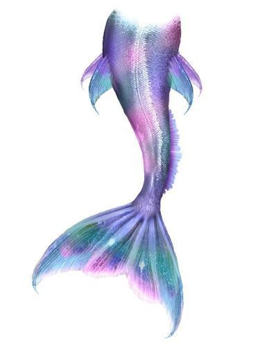 美人魚尾巴圖片【《美人魚尾巴圖片：夢幻與神秘的視覺呈現》】