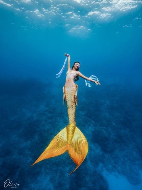 美人魚尾巴圖片【《美人魚尾巴圖片：夢幻與神秘的視覺呈現》】