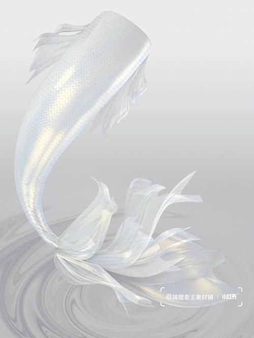 美人魚尾巴圖片【《美人魚尾巴圖片：夢幻與神秘的視覺呈現》】