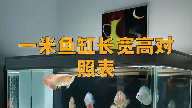 1米魚缸尺寸哪個尺寸好【1米魚缸尺寸分析】
