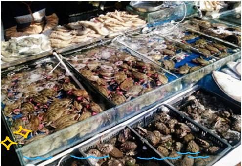 羅漢魚批發市場最出名的三個地方【中國十大知名水產批發市場概覽探索無界水產批發市場概覽探索無界】