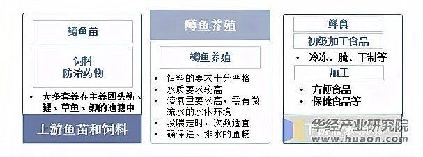 虹鱒2025價目表【2017年虹鱒魚批發價格走勢分析】