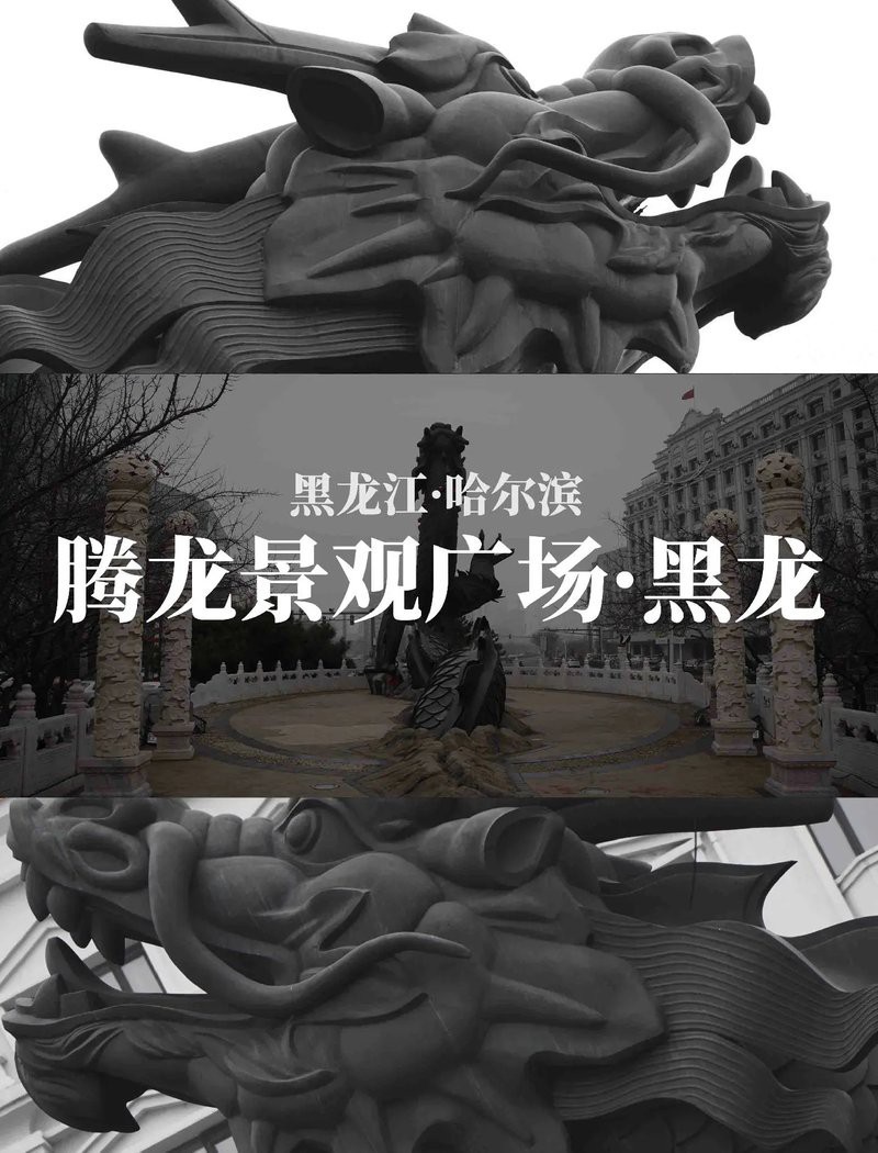 有哪些著名的黑龍雕塑【哈爾濱南崗區黑龍打卡攻略婉婷眼眸中盡是溫柔】