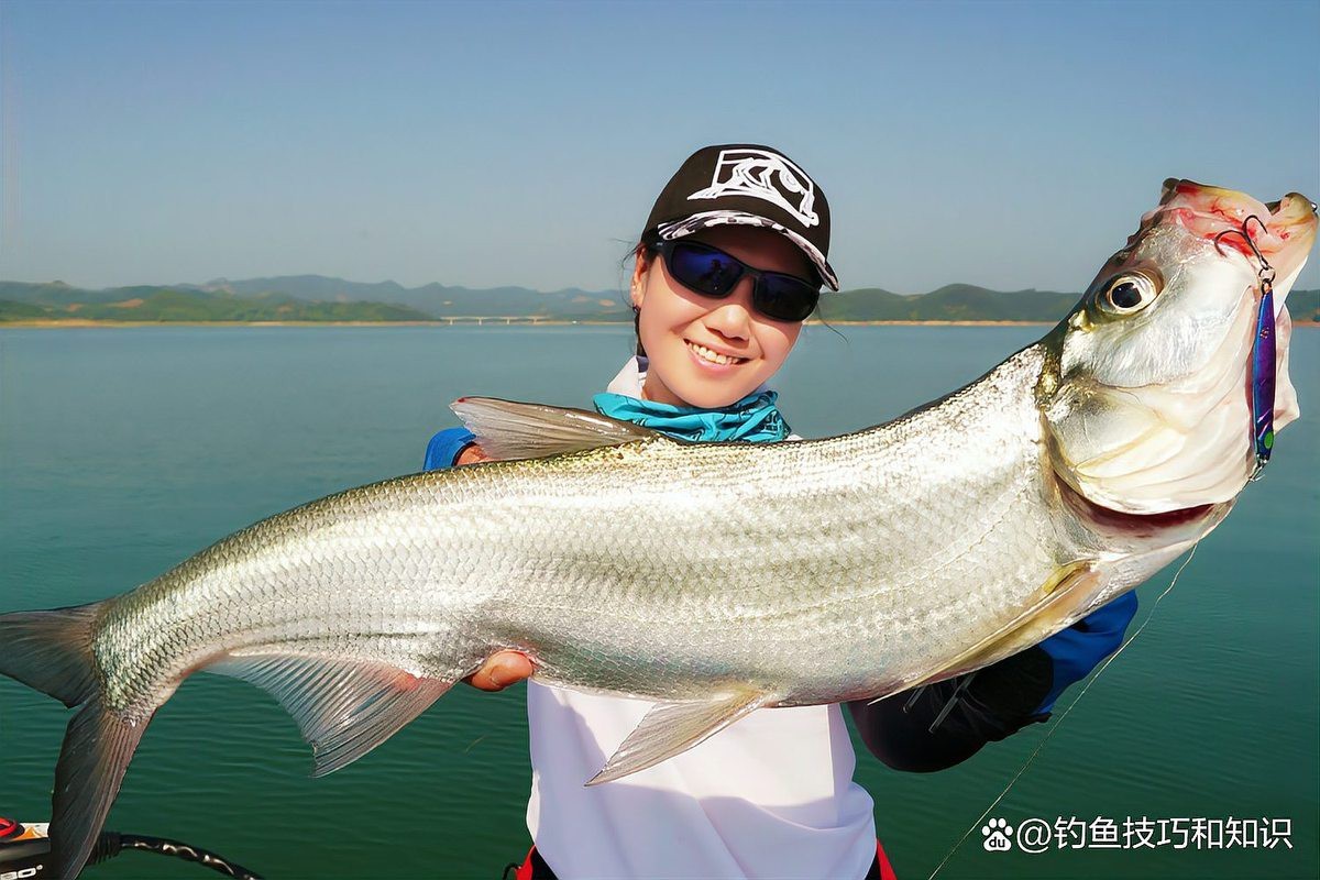翹嘴幾月份開口最猛【翹嘴魚全年最佳垂釣時間與技巧全攻略】 翹嘴幾月份開口最猛【翹嘴魚全年最佳垂釣時間與技巧全攻略】 龍魚論壇 第1張