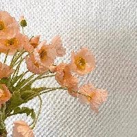 紅龍魚認主10大忌【紅龍魚認主過程中有諸多禁忌，環境頻繁變動是大忌，水質不穩定】 紅龍魚認主10大忌【紅龍魚認主過程中有諸多禁忌，環境頻繁變動是大忌，水質不穩定】 龍魚論壇 第12張