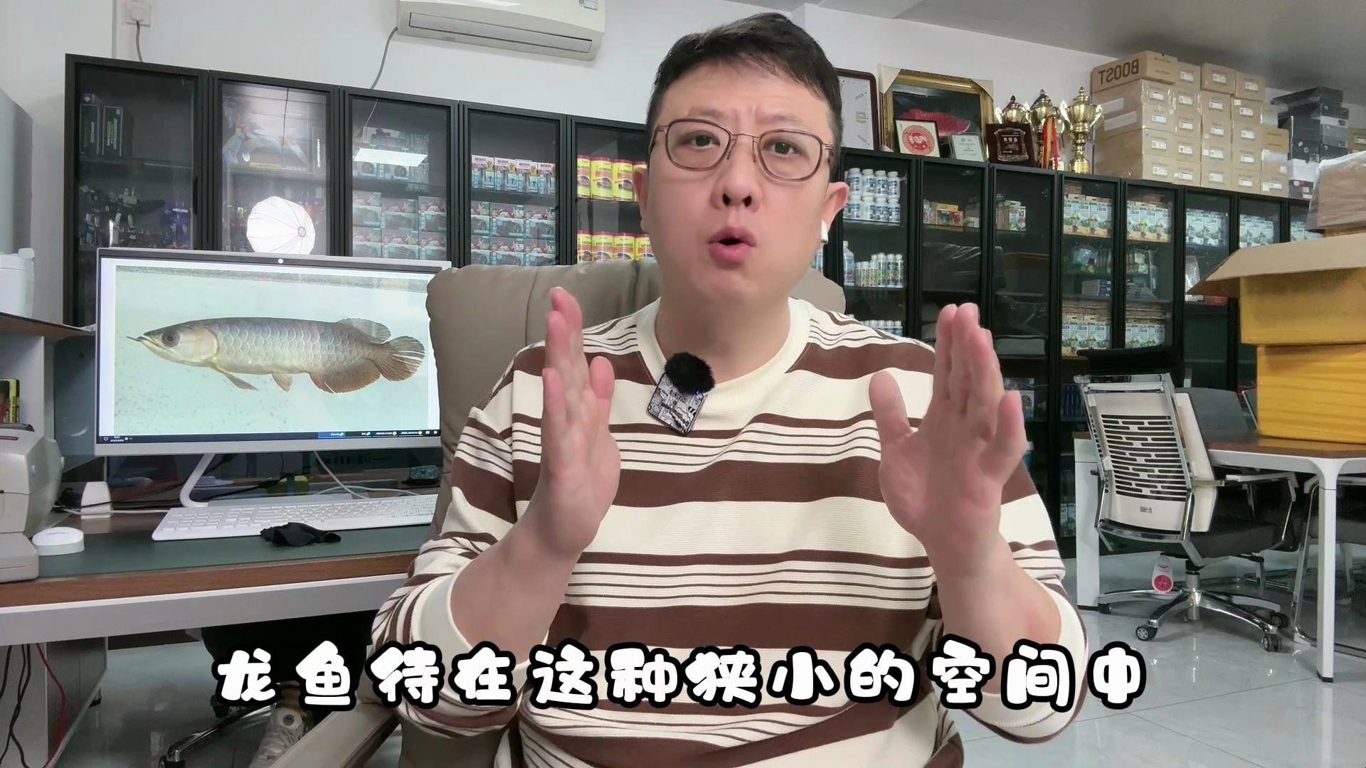 龍魚老頭魚有哪些特征？【《龍魚老頭魚的特征》】