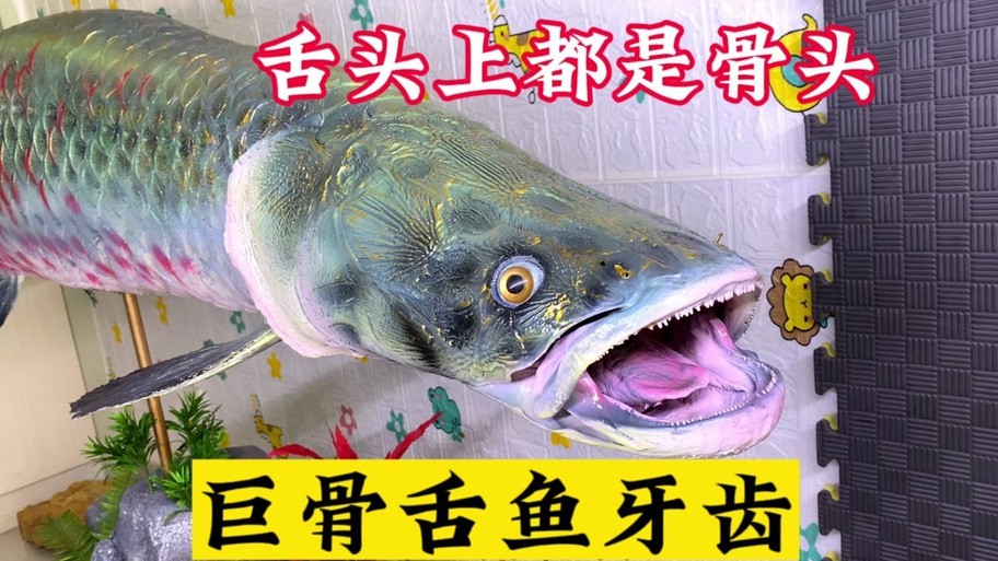 帶僵尸牙的魚(yú)圖片【“帶僵尸牙的魚(yú)”圖片引發(fā)眾多猜測(cè)】 帶僵尸牙的魚(yú)圖片【“帶僵尸牙的魚(yú)”圖片引發(fā)眾多猜測(cè)】 龍魚(yú)論壇 第2張