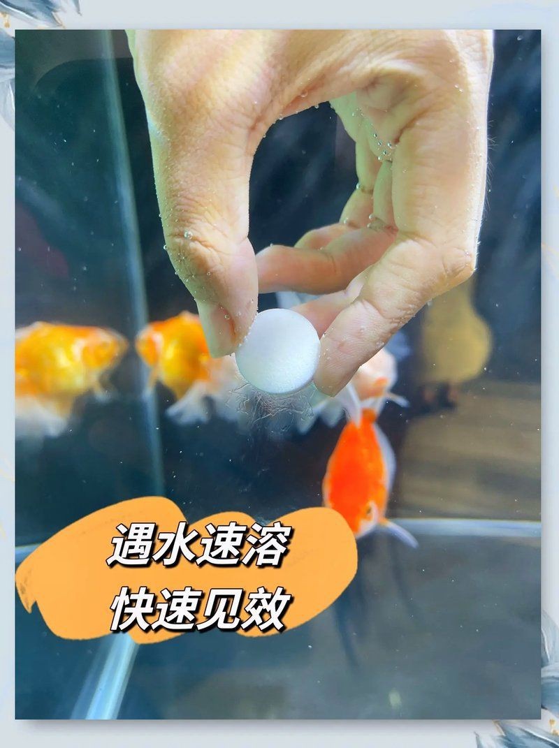 馬印葡萄糖多功能水族專用鹽和一般【馬印葡萄糖多功能水族專用鹽與一般鹽的區別】 馬印葡萄糖多功能水族專用鹽和一般【馬印葡萄糖多功能水族專用鹽與一般鹽的區別】 龍魚百科 第2張